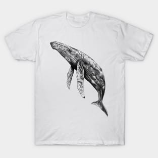 Humpback Whale T-Shirt